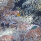 Whitsundays 25